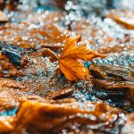 terrasse-glissante-novembre-mulhouse-vital-service